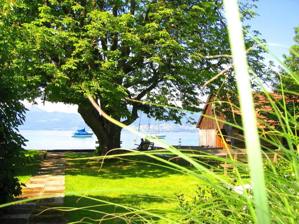 Ferienwohnungen Huber Weyregg am Attersee Dış mekan fotoğraf